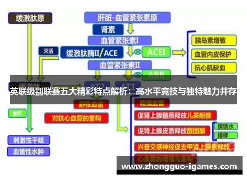 英联级别联赛五大精彩特点解析：高水平竞技与独特魅力并存