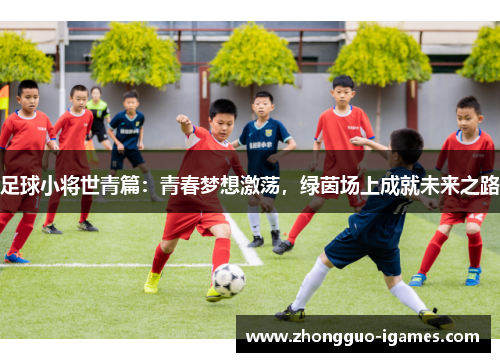足球小将世青篇：青春梦想激荡，绿茵场上成就未来之路